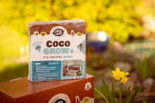Coco Grow Plus 15L in floral garden