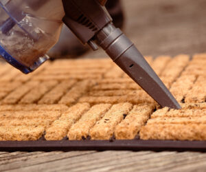 How to clean a coir doormat: The complete guide