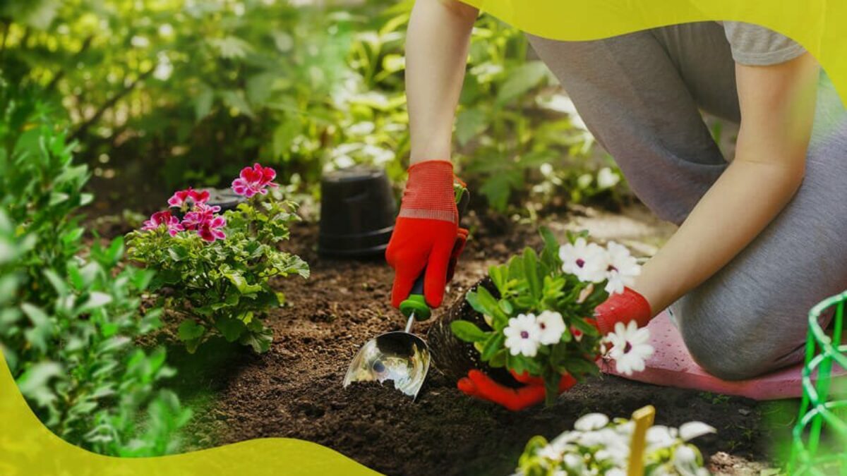 How Gardening at Home Helps the Environment