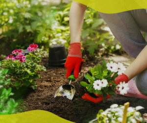 What are the environmental benefits of gardening?