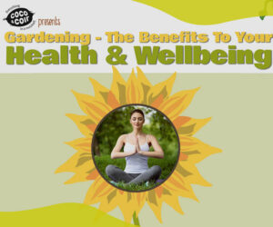 Gardening: The Benefits to Your Health and Wellbeing