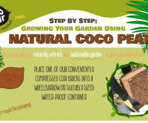Step By Step: Growing Your Garden With Natural Coco Peat