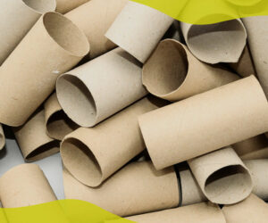 Using toilet roll tubes for planting