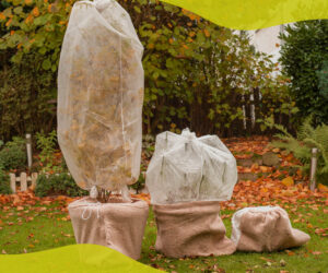 How to keep plants warm in winter