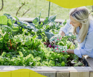 The best vegetables to grow in raised beds