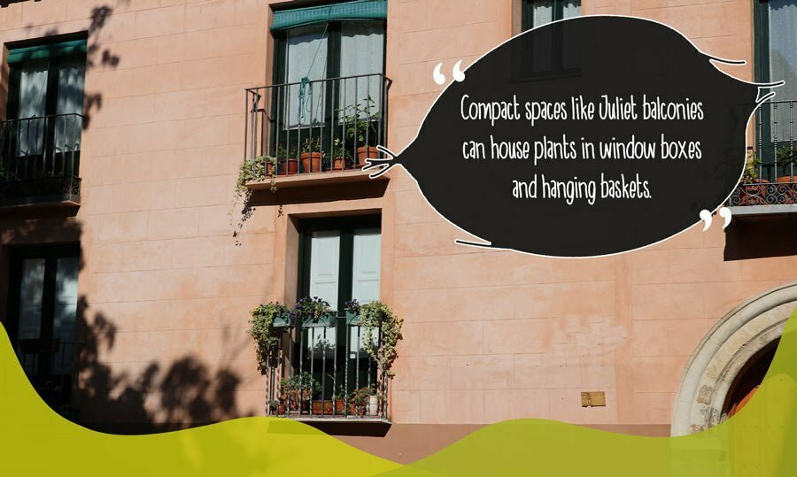 Juliet balconies built into apartment blocks, with plants on display