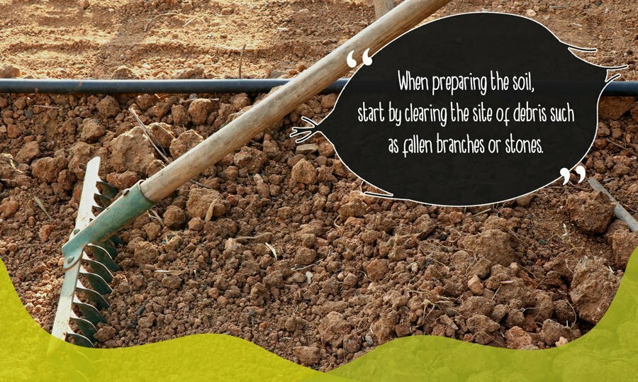Gardener raking over soil in preparation for planting vegetables