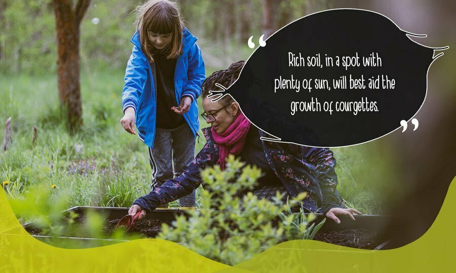 Gardener planting seeds in garden bed