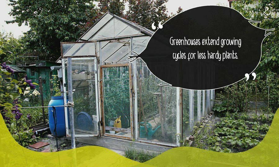 A greenhouse used to shelter plants in a garden during winter