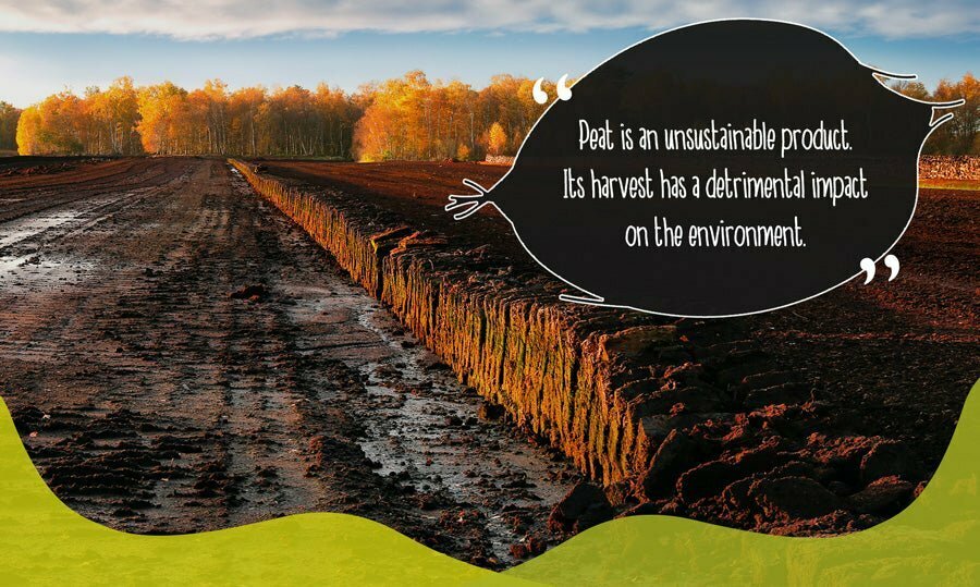 A peat bog being farmed unsustainably for gardening soil