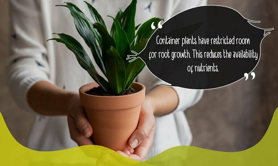 Gardener holding a potted plant