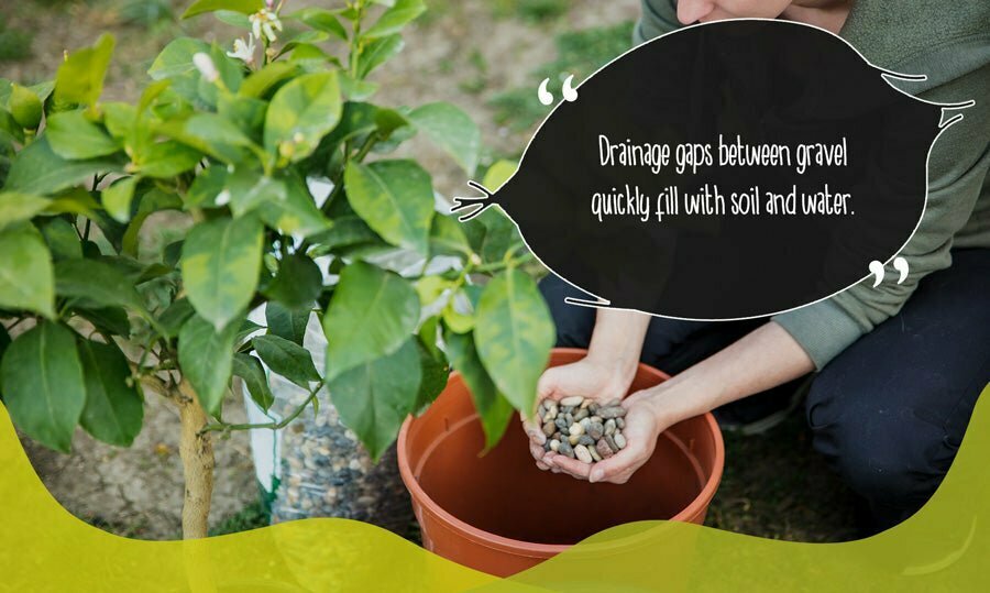 Gravel being placed at bottom of plant pot by gardener