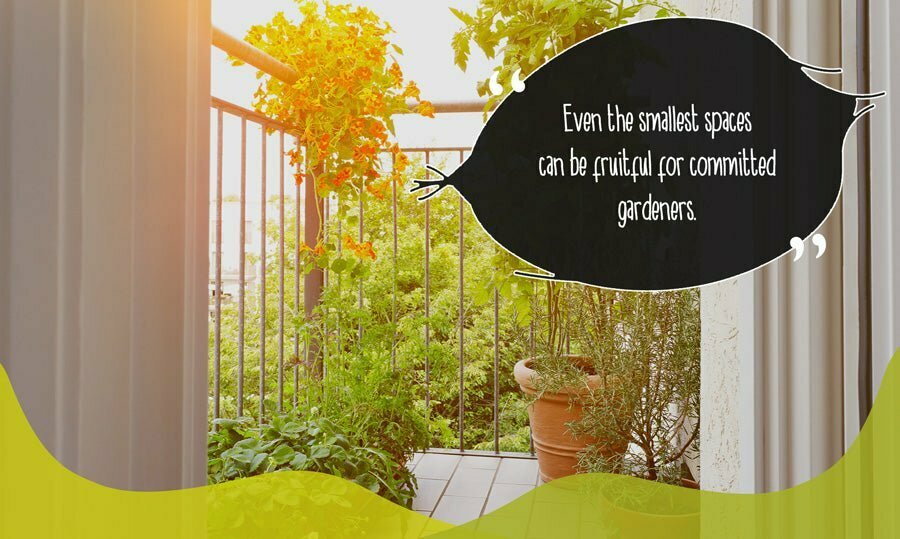 Interior of balcony with potted plants on display