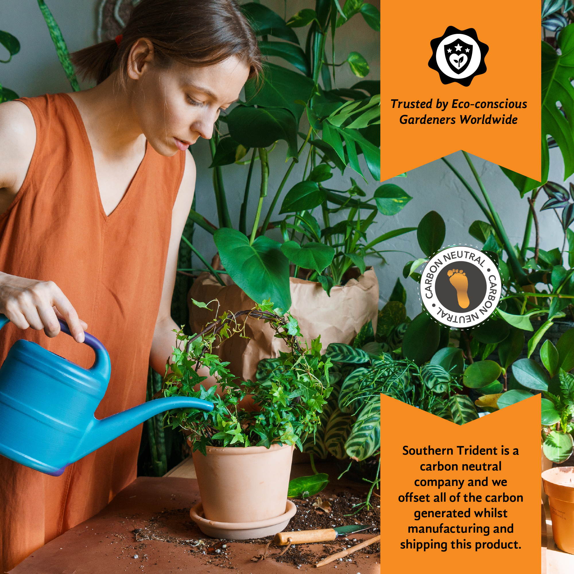 All Purpose Compost - 75L