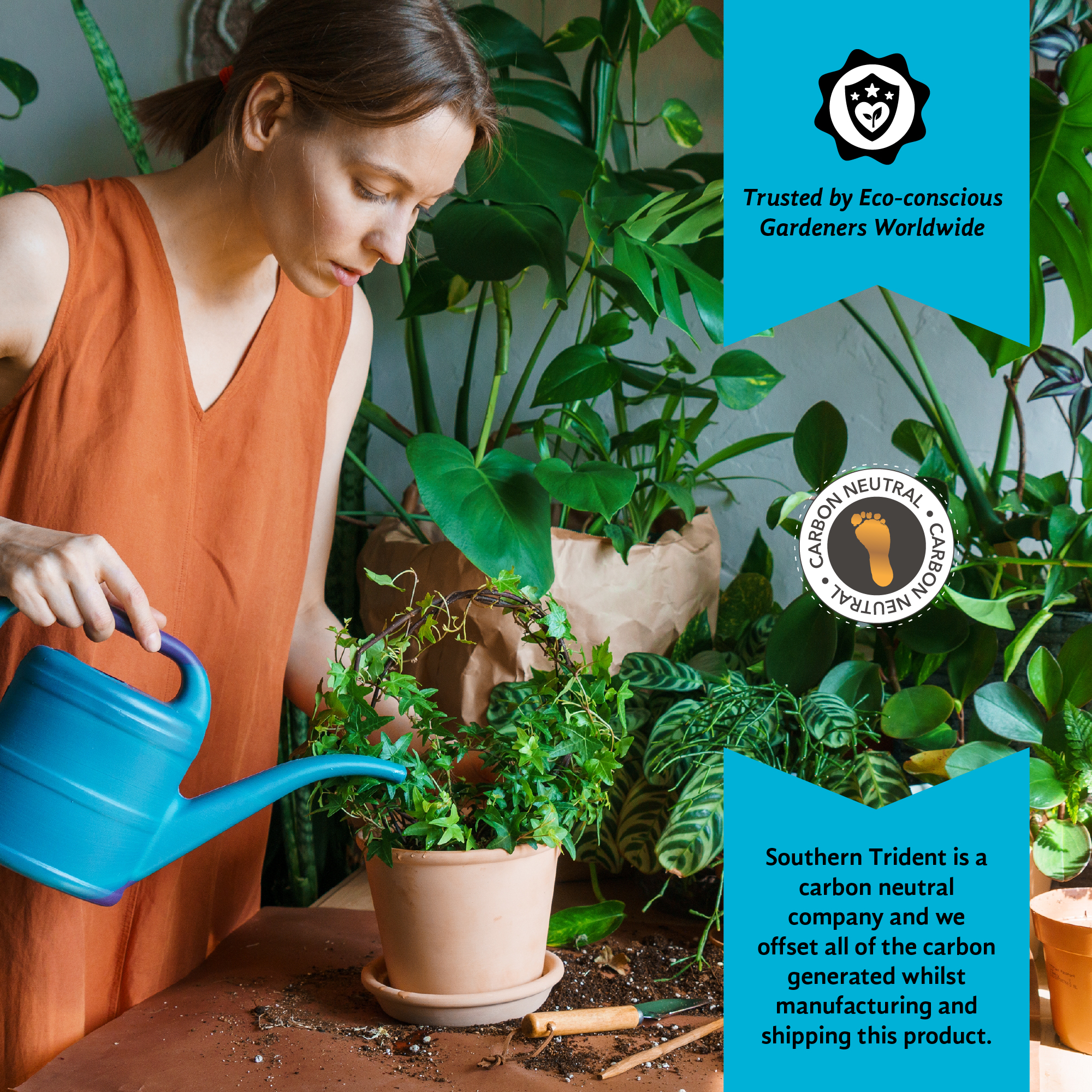 Cutting & Seeding Compost - 75L - with perlite
