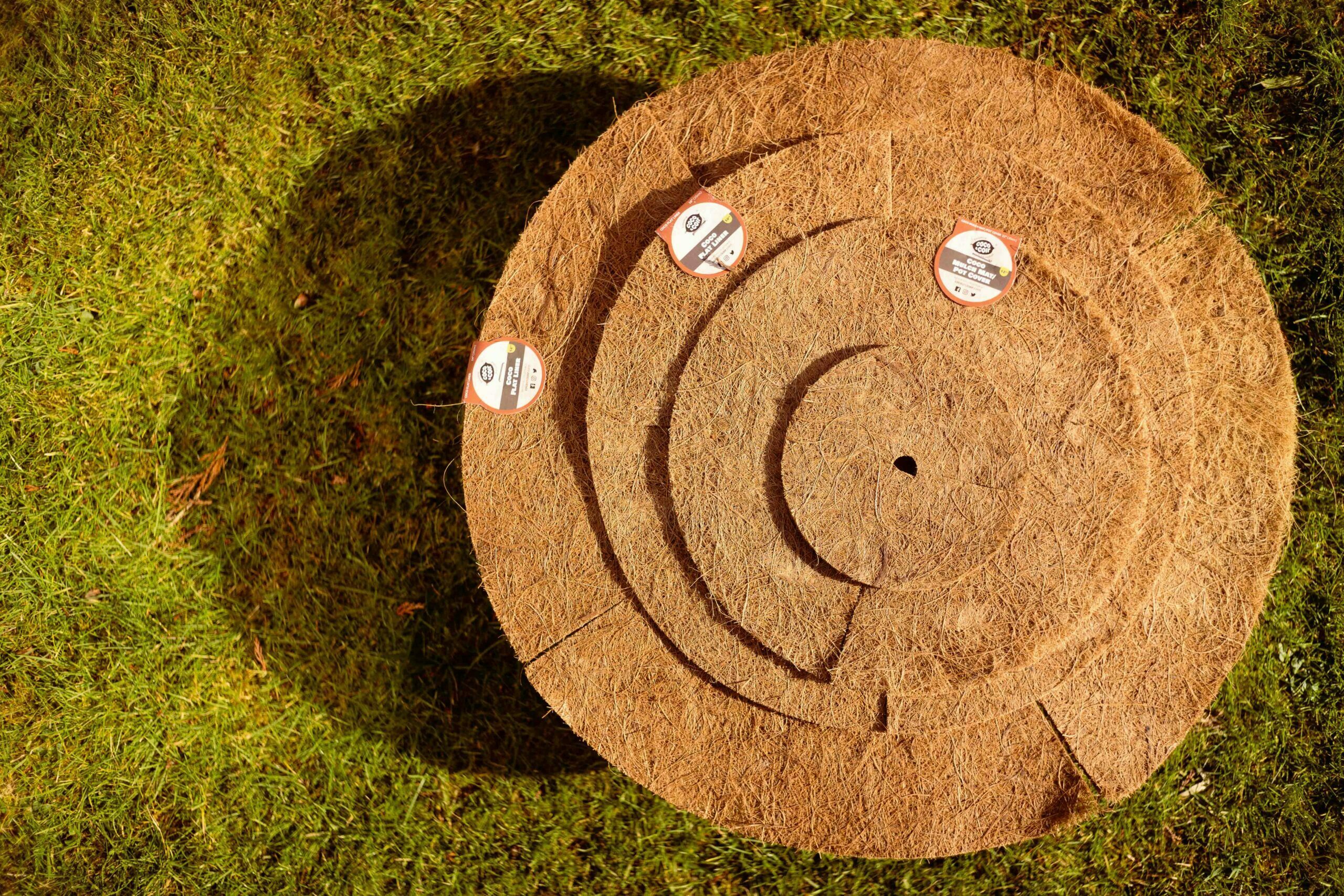 Image of Tree surrounded by coconut coir mulch