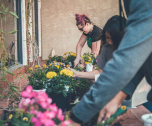 Gardening Is Good For You