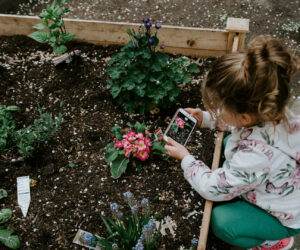 Get Children Gardening