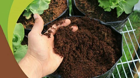COCO COIRPEAT 100% NATURAL ORGANIC ENHANCE COMPOST HYDROPONIC GROWING MEDIA