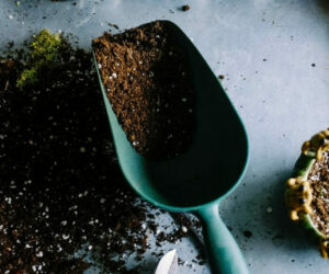 How to Re-Use Coco Coir In Gardening