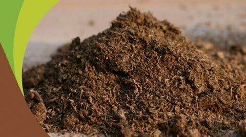 Peat moss vs Sphagnum moss