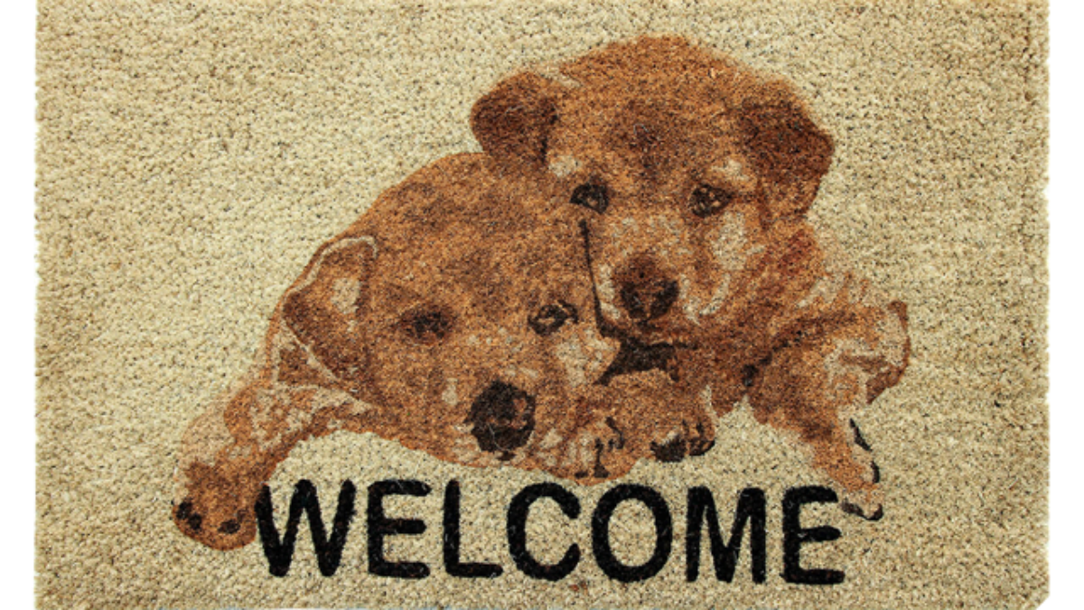 Puppy Welcome | Coco & Coir