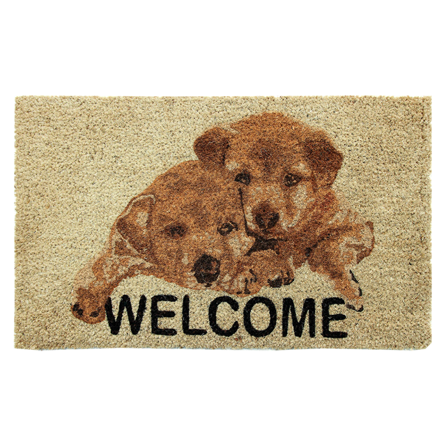 Puppy Welcome