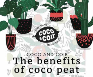 The Benefits of Coco Coir