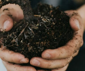 What organic alternatives to peat moss are available?