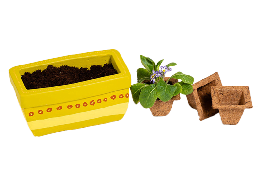 Biodegradable Coir Plant Pots (Square)