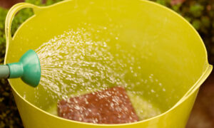 Expanding Coir Compost Water