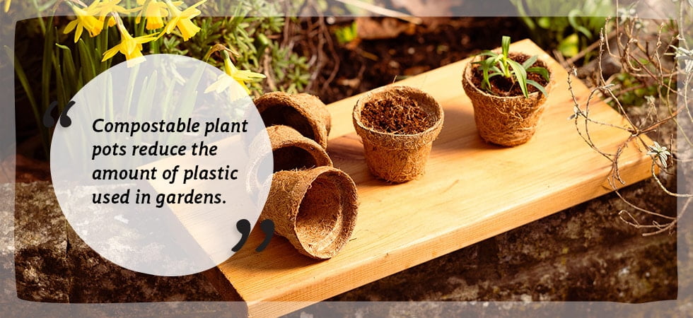 Biodegradable & Compostable Plant Pots