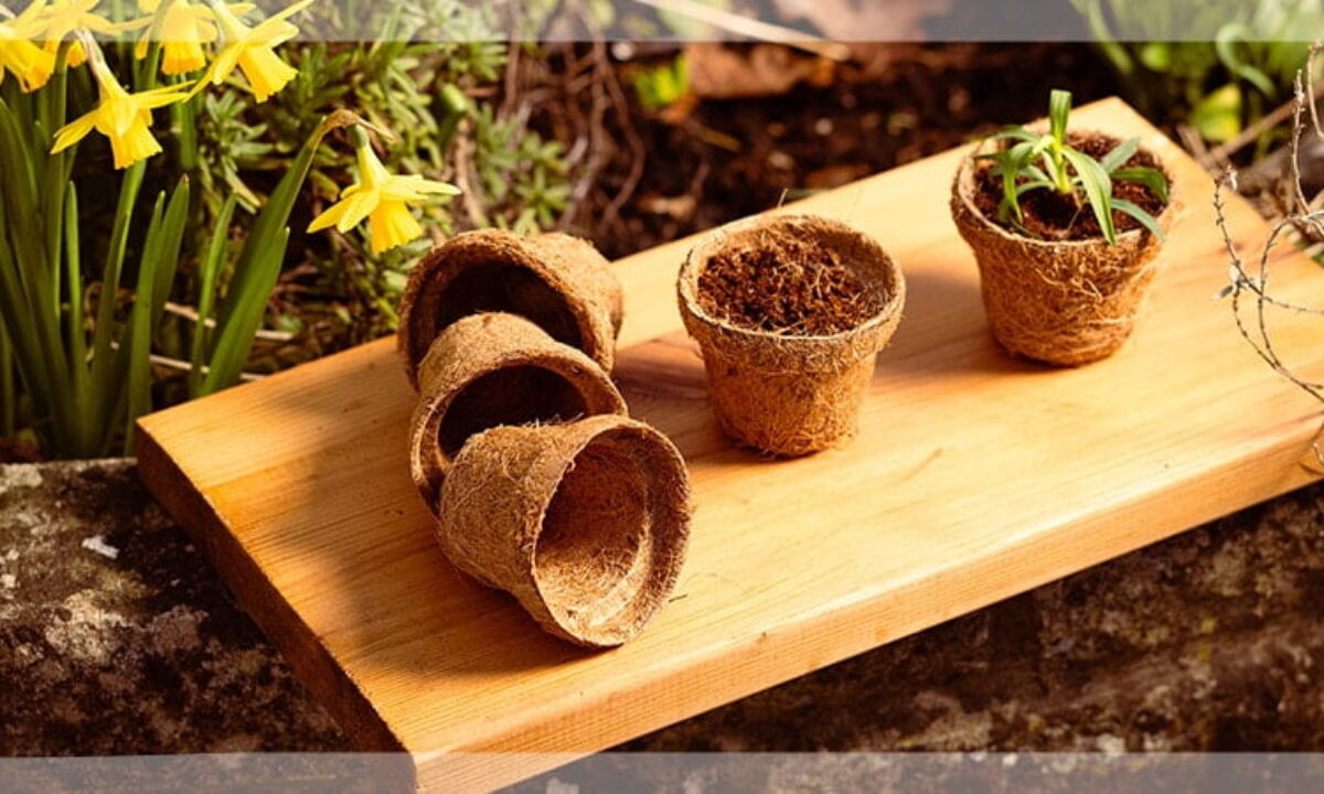 Biodegradable & Compostable Plant Pots