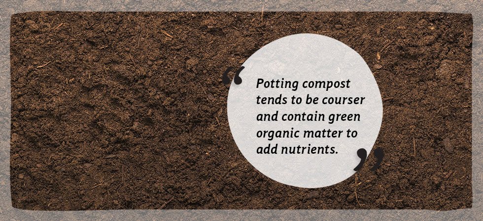 What is potting compost and do you need it? | Coco & Coir