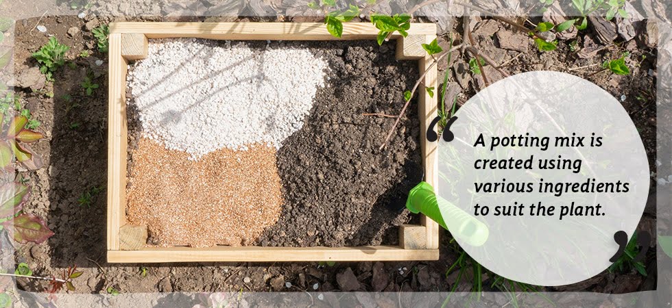 What is potting compost and do you need it? | Coco & Coir