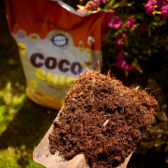 Coco & Coir Coco Chip Mulch (50L Bagged)