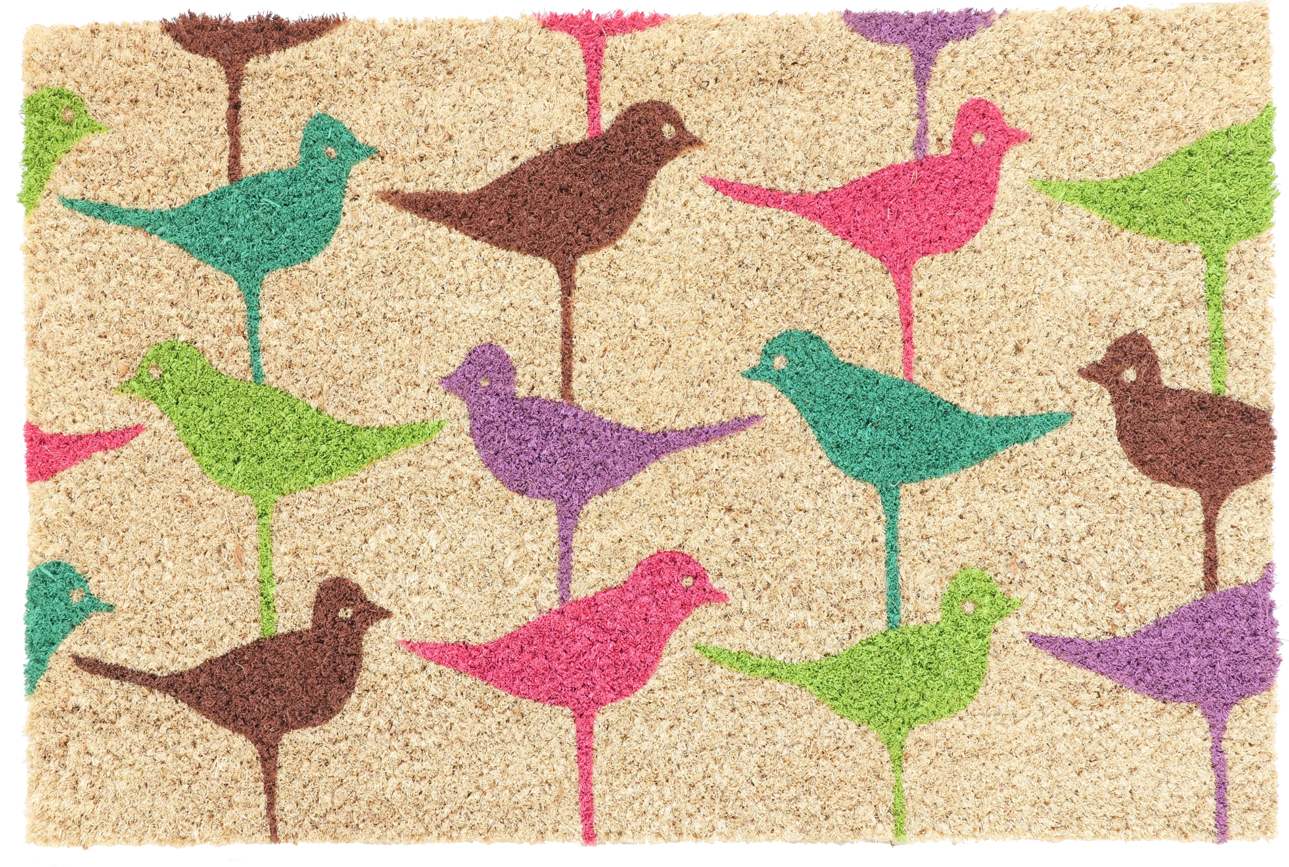 The Birdie Coir Doormat