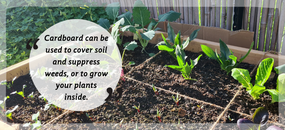 No-Dig Gardening: Pros & Cons for Home Gardens — Empress of Dirt