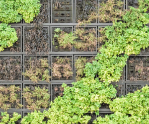 How To Create A Vertical Garden