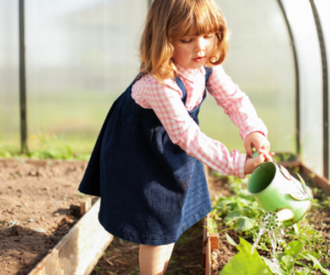 Using Coir For Greenhouse Plants