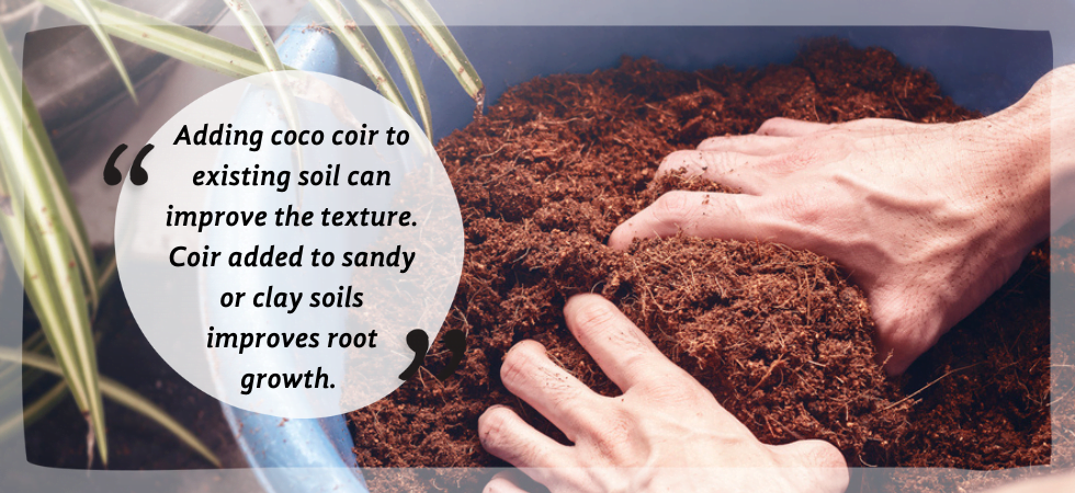 Is coco coir better than soil?