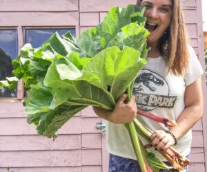 Green Gardeners’ Guild Chat With: @pumpkins_etc