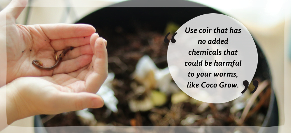 Coco Coir is the secret to a healthy productive worm bin