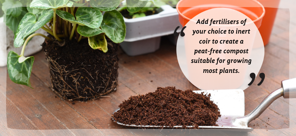 Why Coir Pots? - Grow By Coco