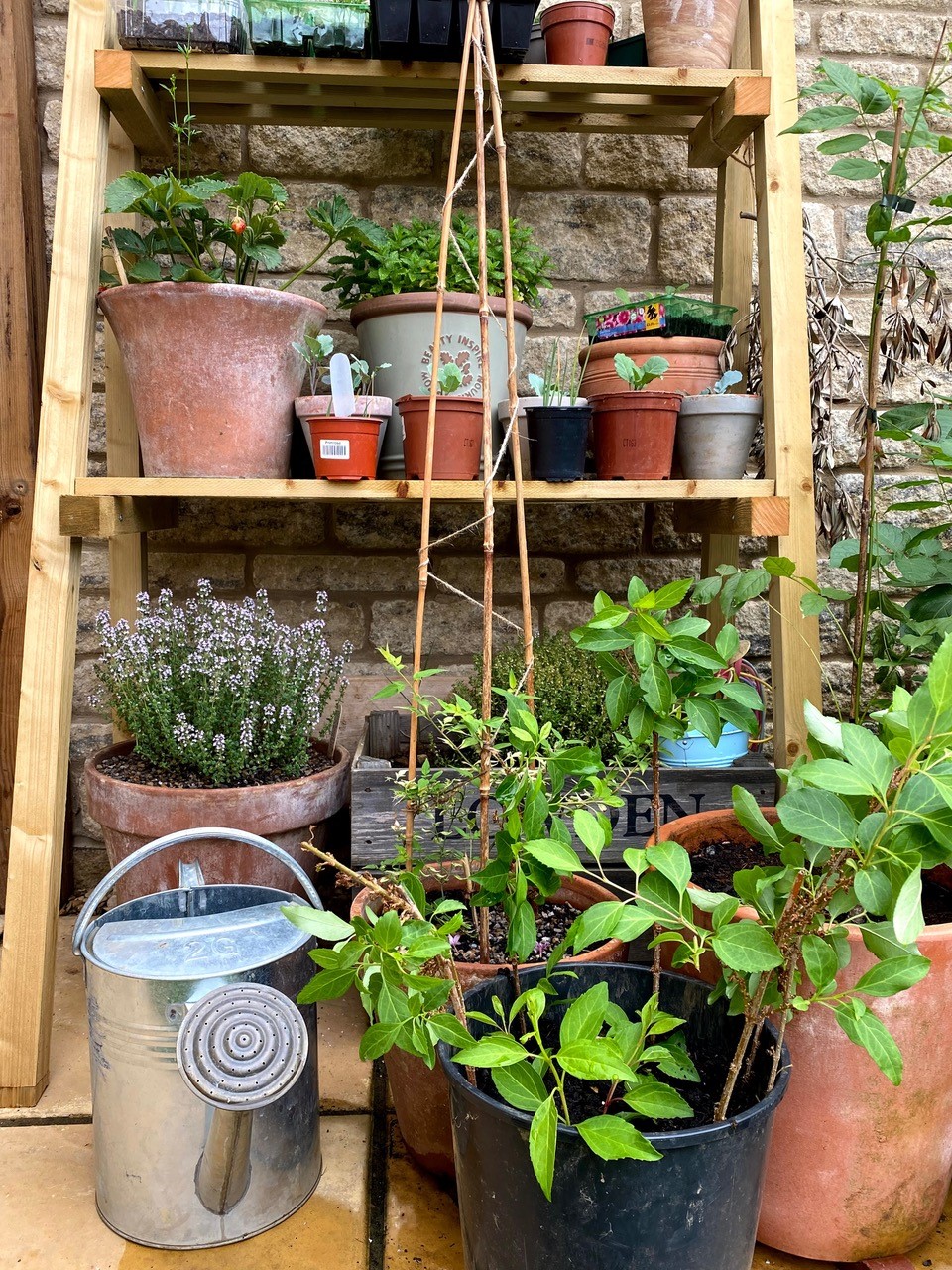 gardening_in_the_shires wonderful garden assortment with Coco&Coir.