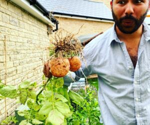 Green Gardeners Guild Chat With: @gardening_in_the_shires