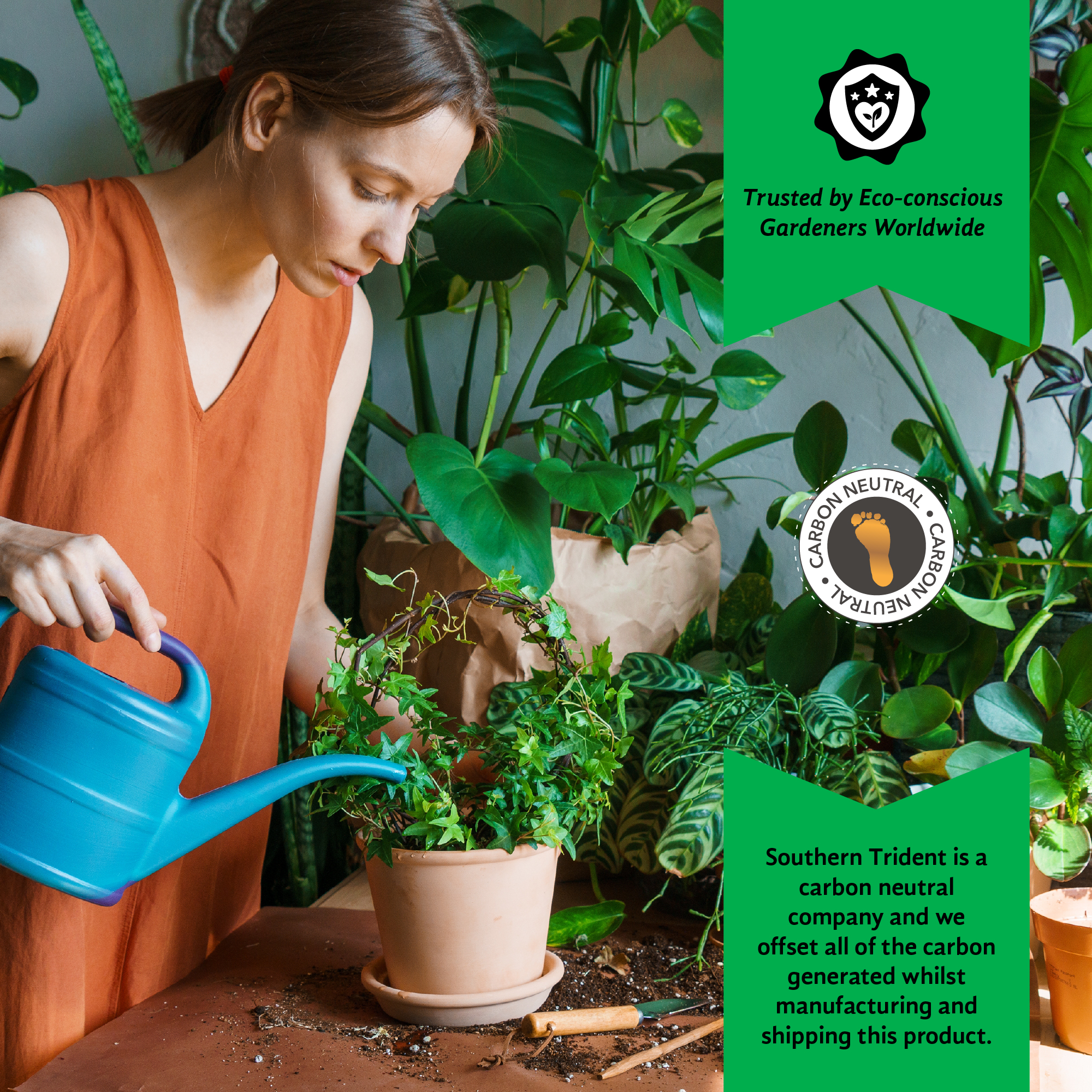 Houseplant Compost - 9L