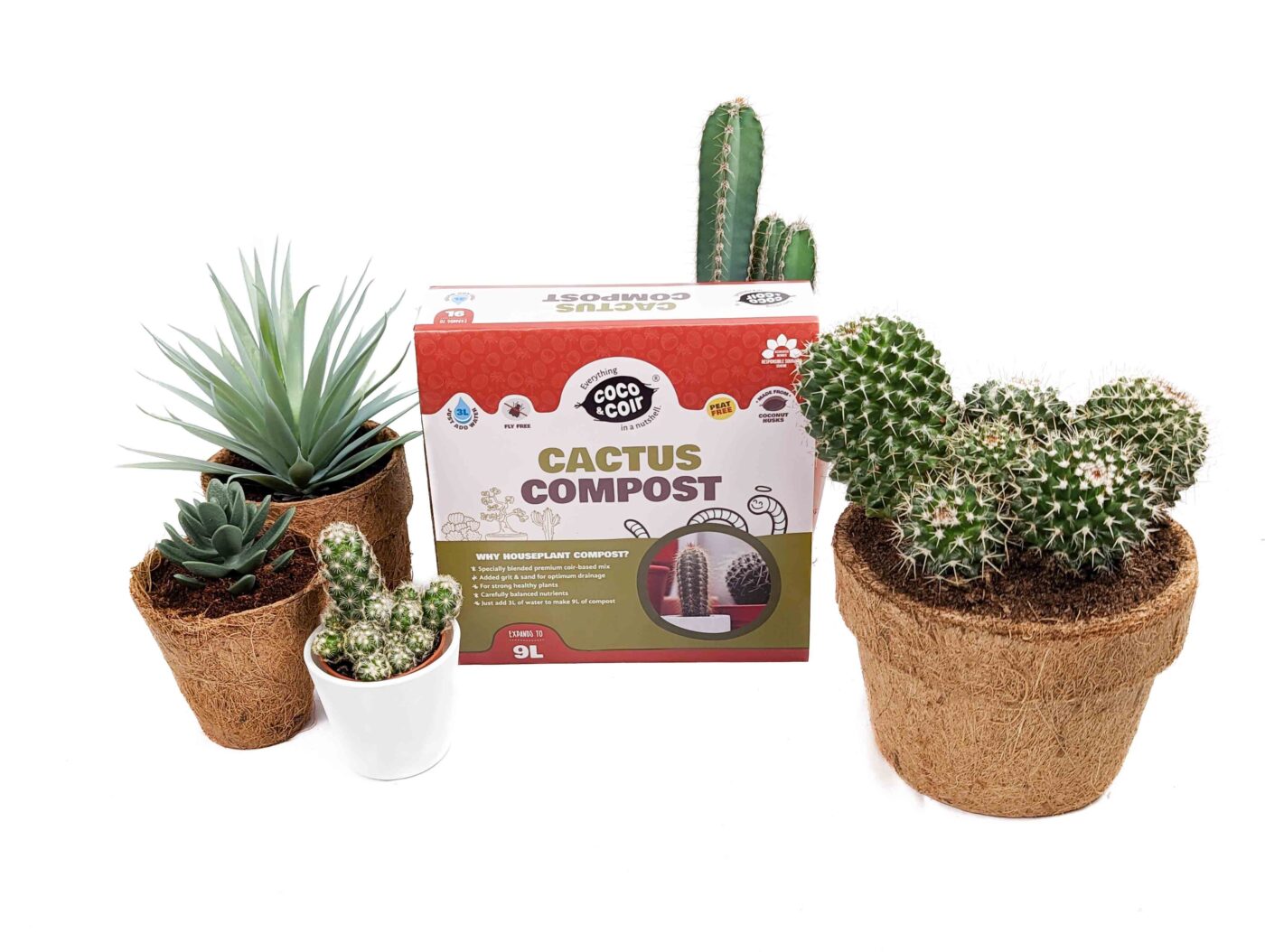 Cactus Soil and Succulent Compost (9L) Coco & Coir
