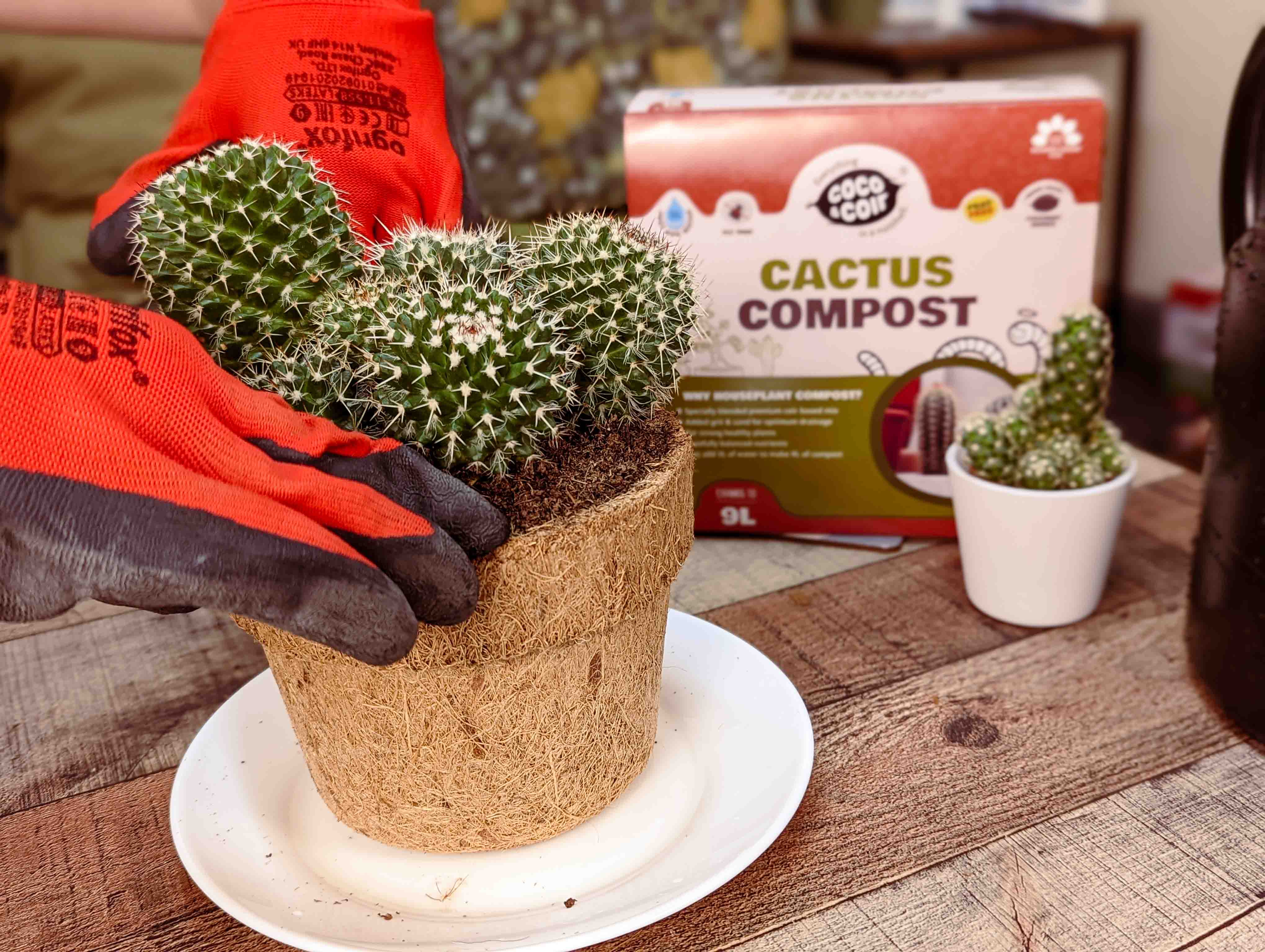 Cactus Compost - 9L