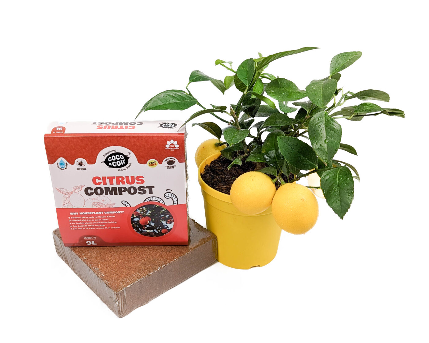 Citrus Compost With Iron Enriched Plant Feed (9L) Coco & Coir